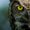 Photo of Owlvira H.