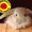 Photo of Qype User (evagab…)