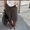 Photo of Tamarra M.