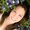 Photo of Jenna K.