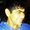 Photo of Abhishek G.