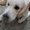 Photo of Jorie S.