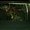 Photo of Scott C.