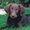 Photo of Penny P.