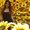 Photo of Steffi S.