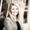 Photo of Michelle S.