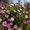 Photo of Tania E.