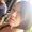 Photo of Samantha M.