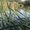 Photo of Baltazar T.