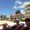 Photo of Arpi S.