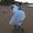 Photo of Aida T.