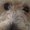 Photo of Jaxxy J.
