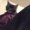 Photo of Kit P.