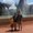 Photo of Caitlin H.
