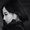 Photo of Danni D.