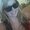 Photo of Lea S.