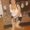 Photo of Concetta P.