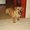 Photo of Lizzie S.