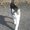 Photo of Qype User (killer…)