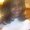 Photo of Stacy B.