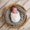 Photo of Nuala M.