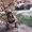 Photo of Kevin S.