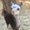 Photo of Taffy C.