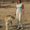 Photo of Sheri M.