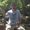 Photo of Sean P.