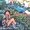 Photo of Nicole N.