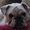 Photo of budda m.