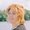 Photo of Qype User (MimiWh…)