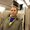 Photo of Randyl S.