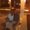 Photo of Fernanda C.