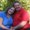 Photo of Brenda S.