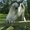 Photo of Qype User (ninte…)