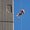 Photo of Qype User (Timoth…)