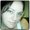 Photo of Estrella C.