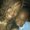 Photo of Deshunna R.