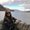 Photo of Arianna J.