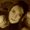 Photo of Katharyne H.