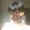 Photo of Kourtney Y.