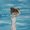 Photo of Qype User (eme64m…)