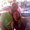 Photo of Dione M.