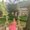 Photo of Anisha W.