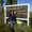 Photo of Brenda F.