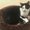 Photo of Korene H.