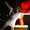 Photo of Alexandra T.
