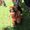 Photo of Ricarda H.