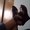 Photo of Francine T.